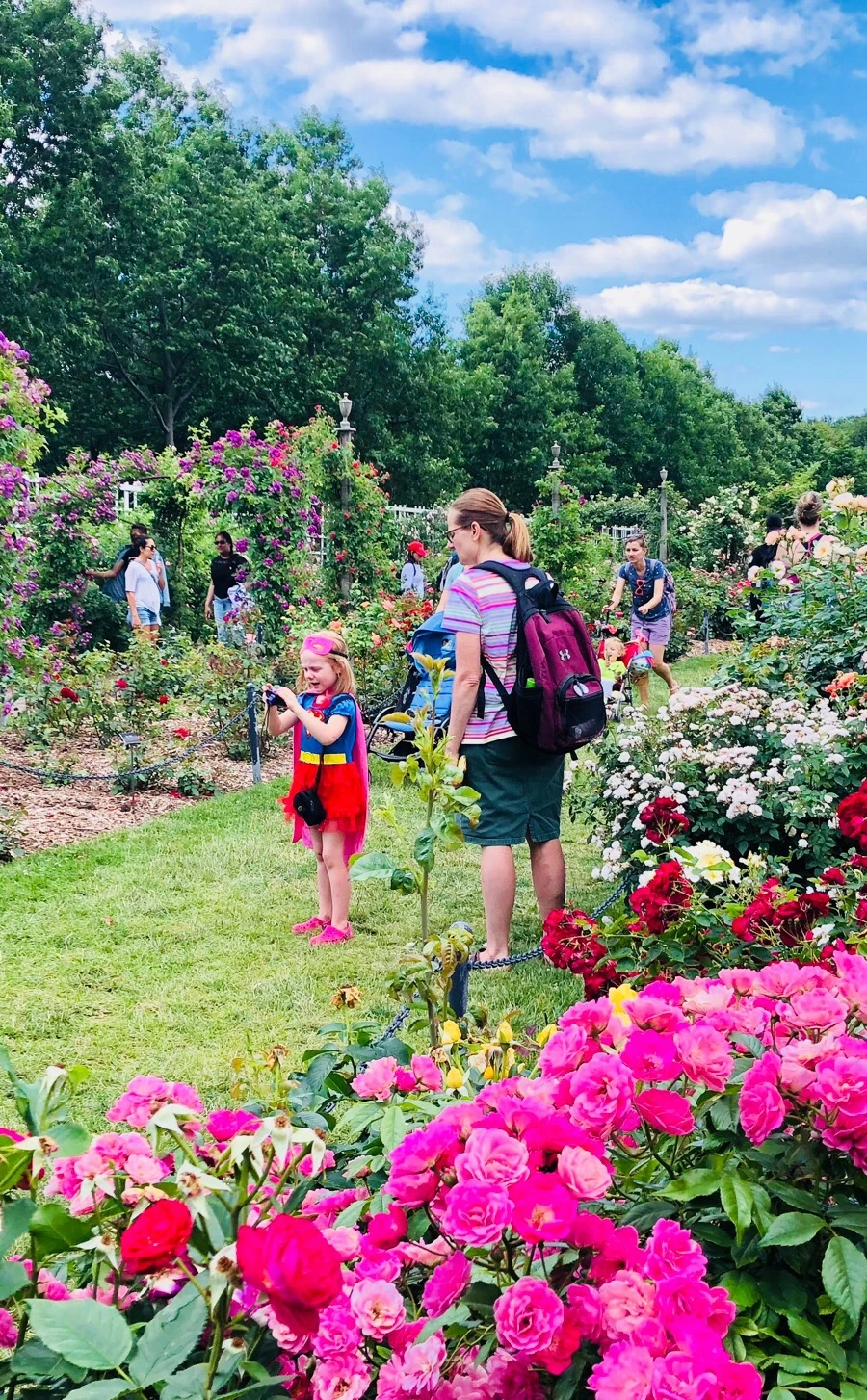 IMG_7877.jpg?type=w966