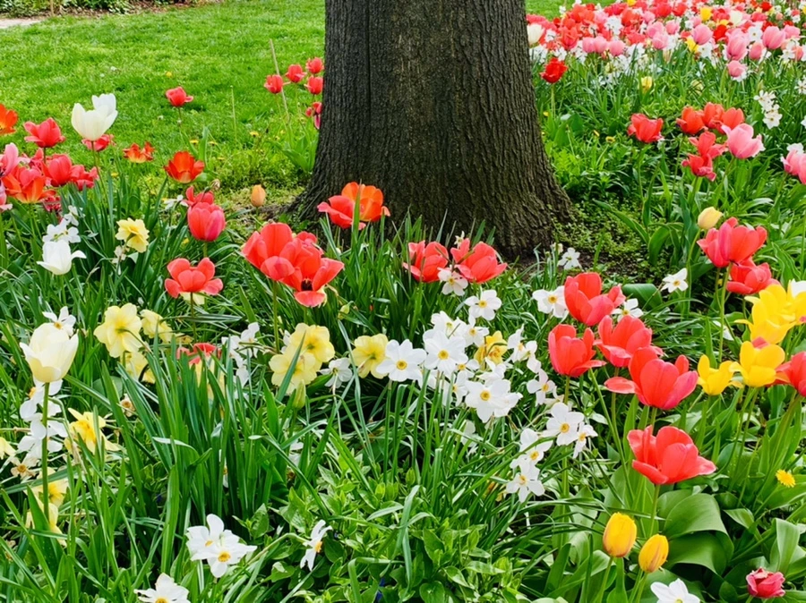 IMG_6957.jpg?type=w966