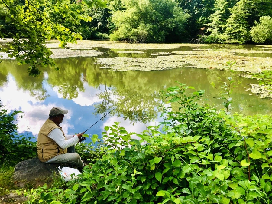 IMG_9917.jpg?type=w966