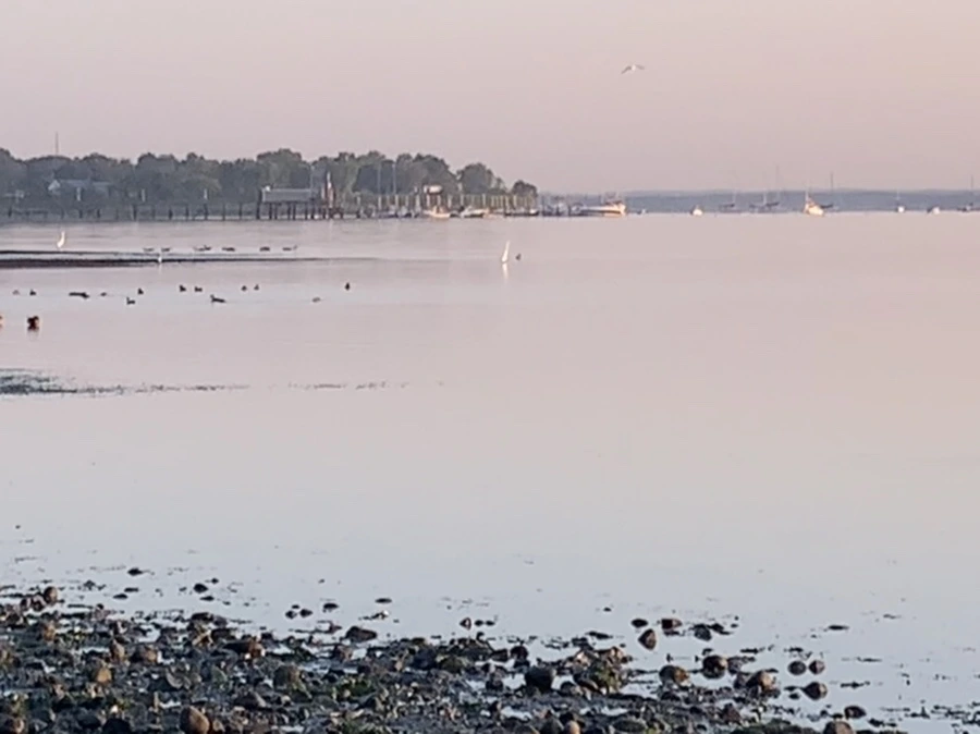 IMG_0222.jpg?type=w966