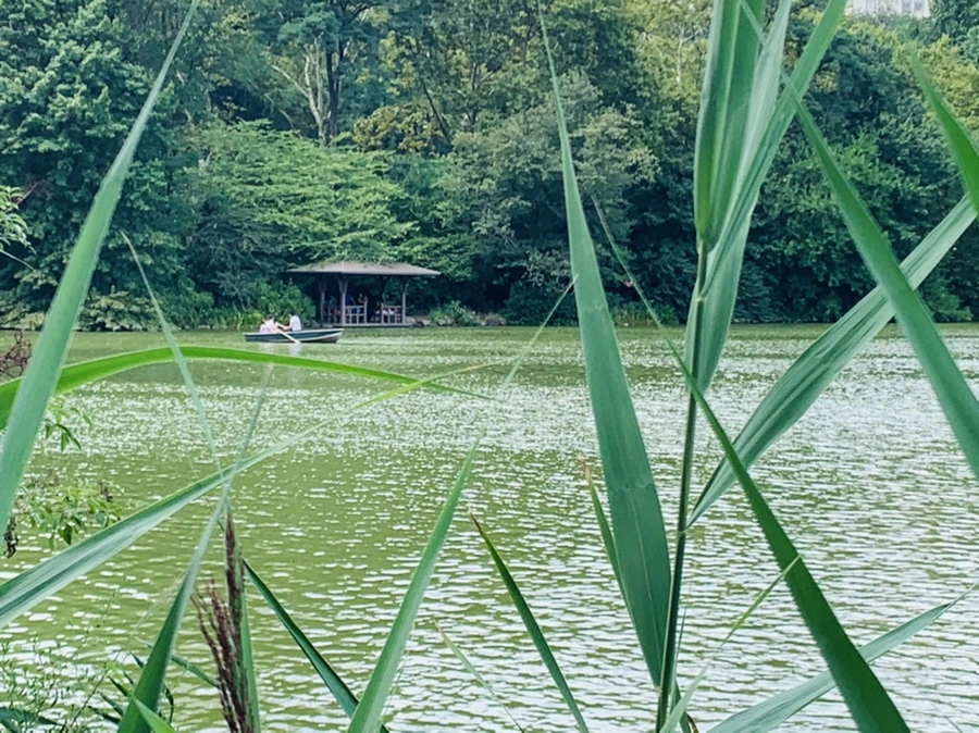 IMG_1588.jpg?type=w966