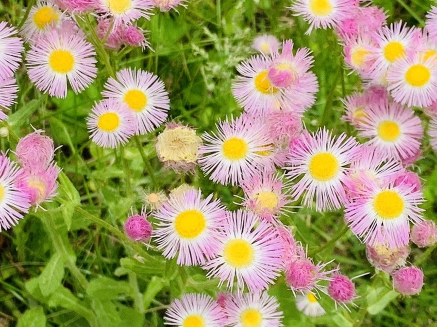 DVXaiMuPUk9vXr_mHcg1LYVrUS8