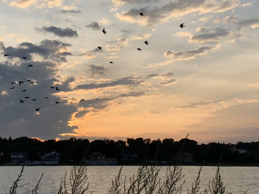 IMG_1728.jpg?type=w966