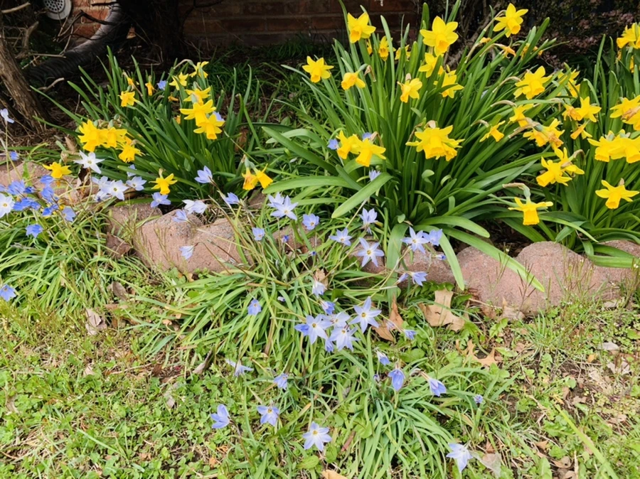 IMG_6736.jpg?type=w966