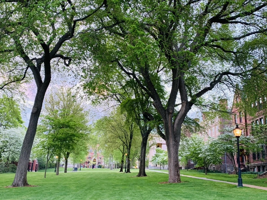 IMG_2578.jpg?type=w966