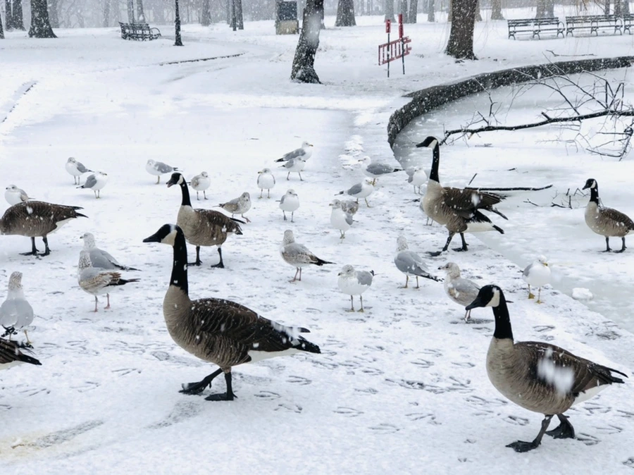 IMG_4182.jpg?type=w966