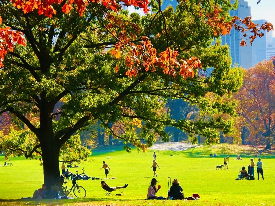 IMG_4347.jpg?type=w966