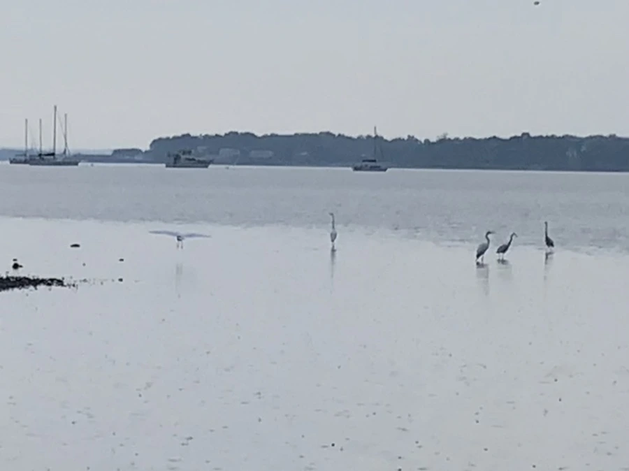 IMG_8128.jpg?type=w966