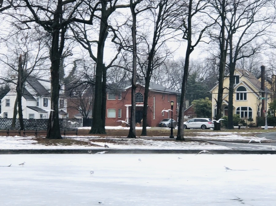 IMG_5732.jpg?type=w966