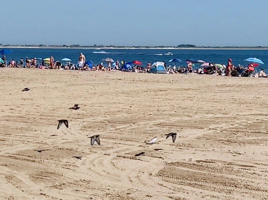 IMG_1101.jpg?type=w966