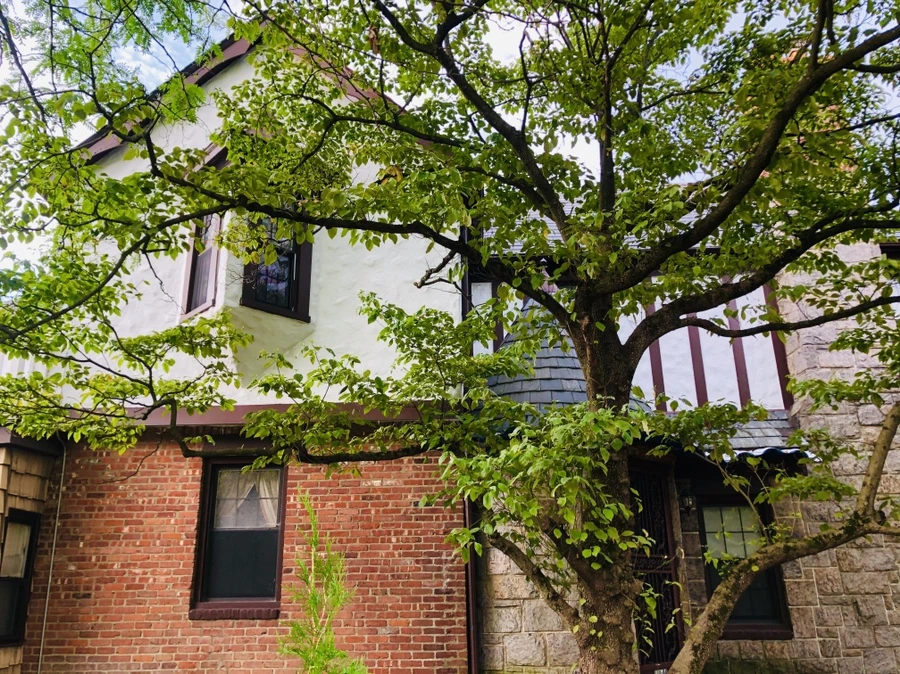 IMG_5653.jpg?type=w966