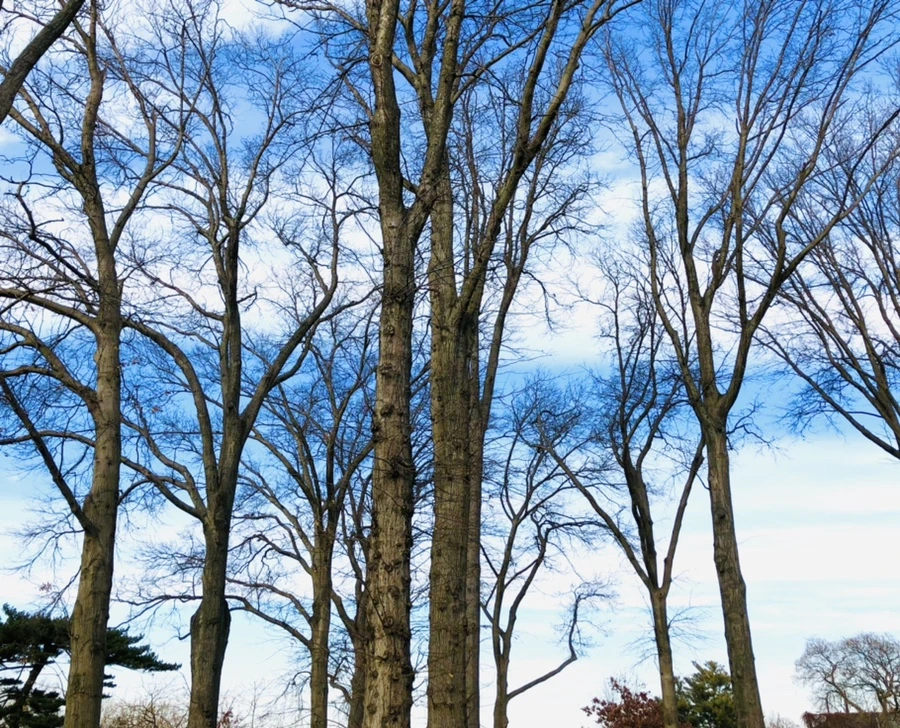 IMG_4819.jpg?type=w966