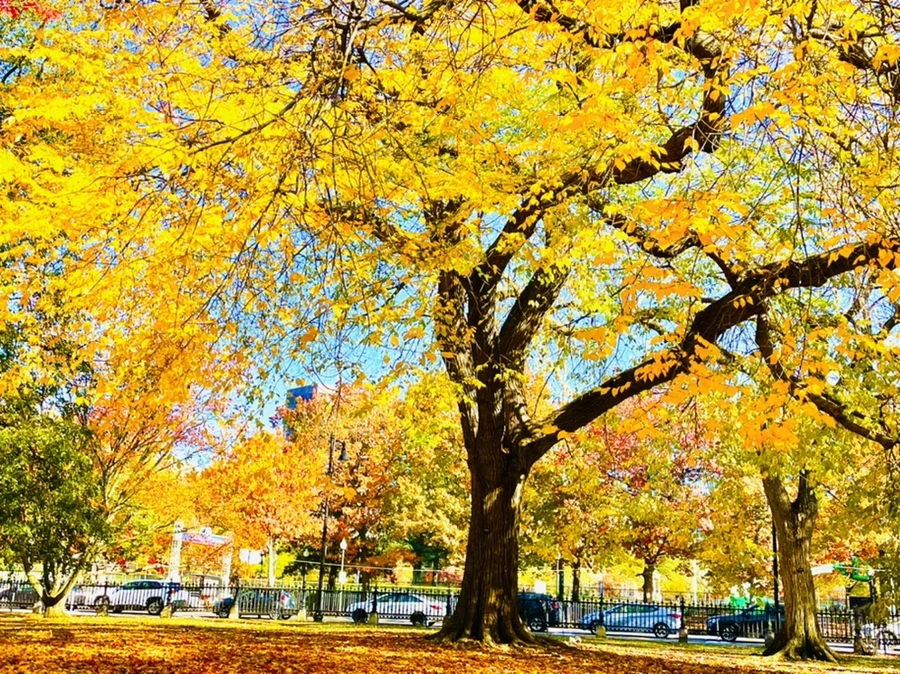 IMG_2580.jpg?type=w966