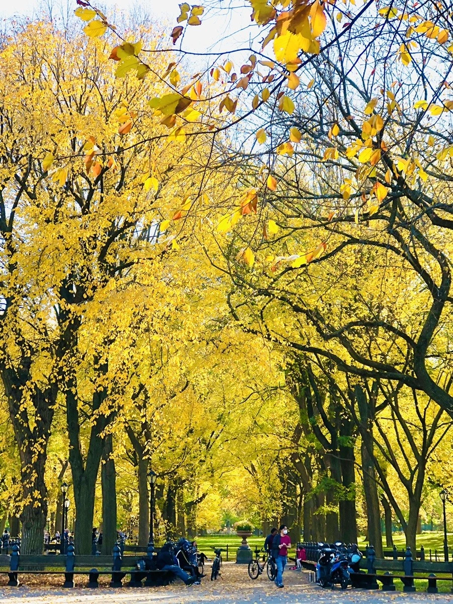 MC9f_iQlwXB53n0b_Yo0pw_6m6k