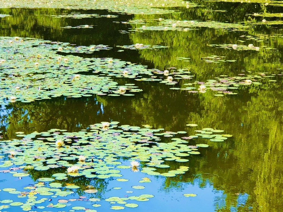 IMG_2330.jpg?type=w966