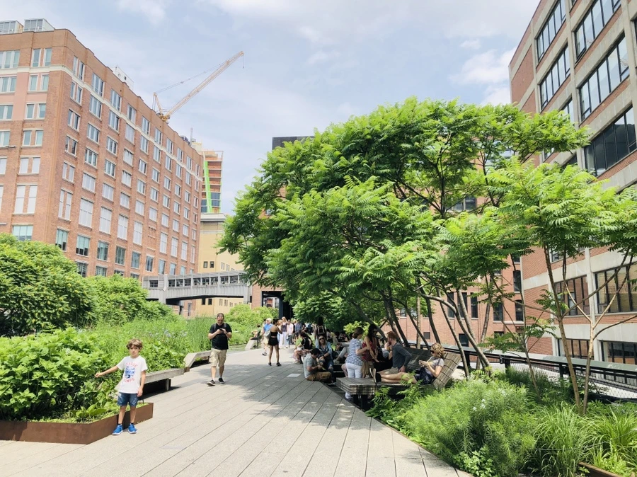 IMG_5559.jpg?type=w966