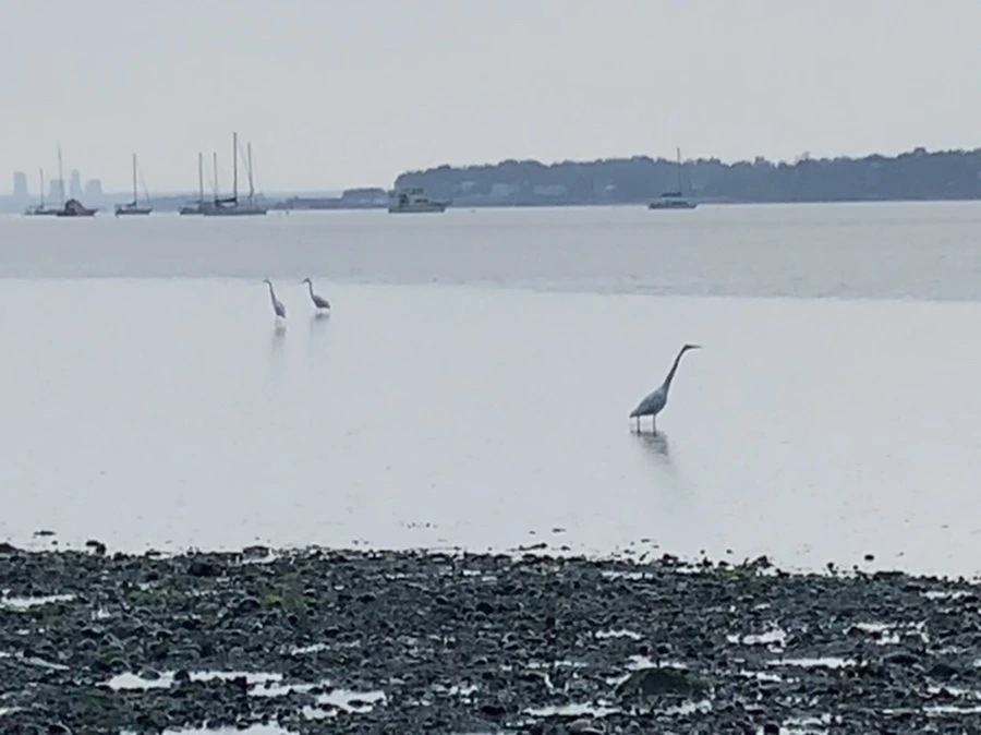 IMG_8113.jpg?type=w966