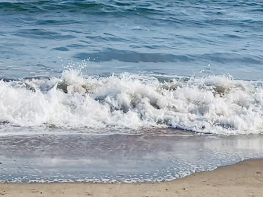 IMG_5085.jpg?type=w966