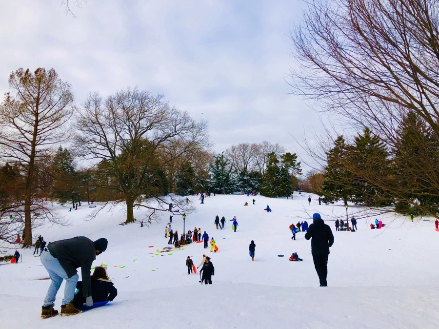 IMG_7271.jpg?type=w966