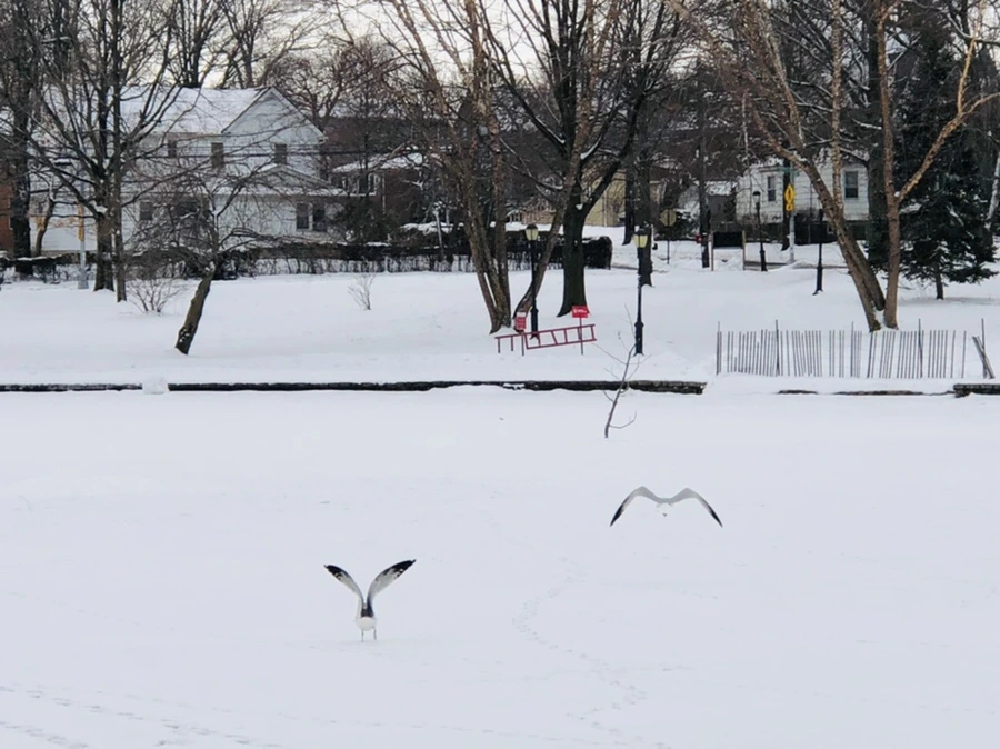 IMG_3765.jpg?type=w966