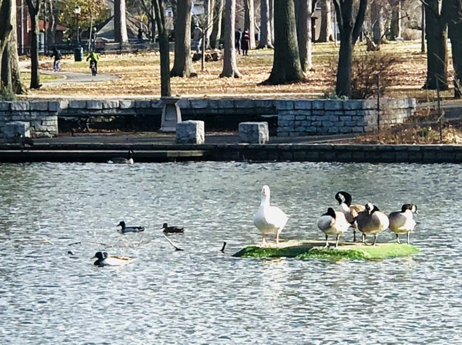 IMG_9234.jpg?type=w966