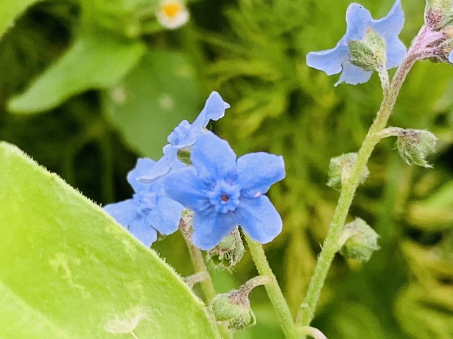 IMG_7257.jpg?type=w966