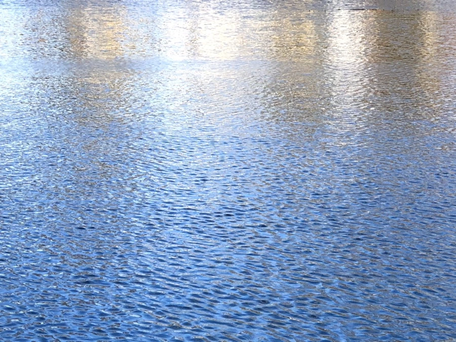 IMG_4041.jpg?type=w966