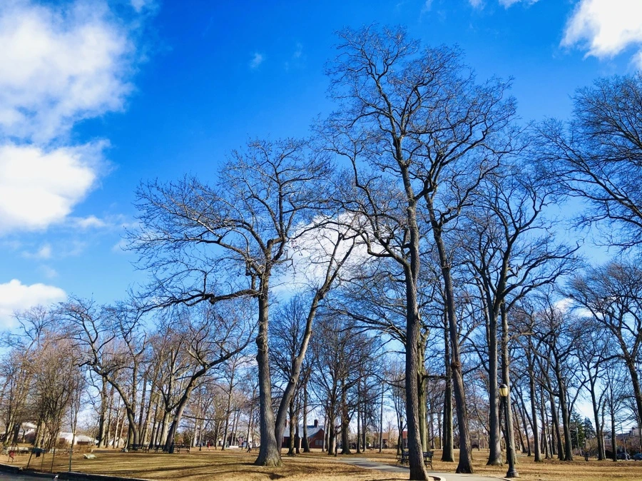 IMG_7589.jpg?type=w966