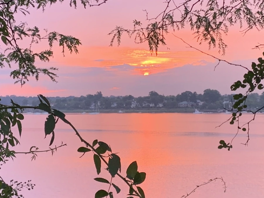 IMG_0209.jpg?type=w966