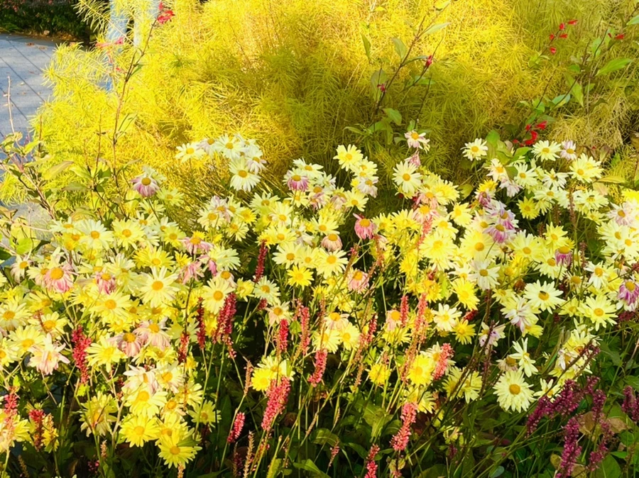 IMG_1776.jpg?type=w966