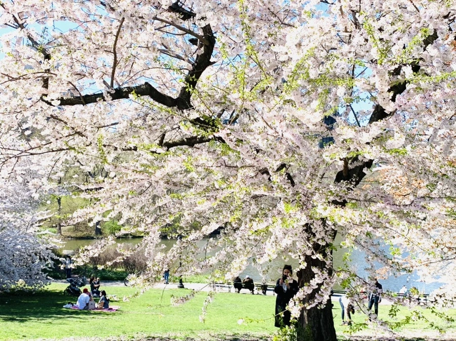 IMG_1813.jpg?type=w966