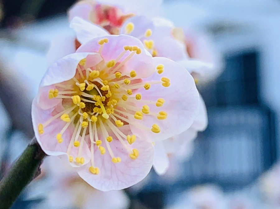 IMG_1017.jpg?type=w966