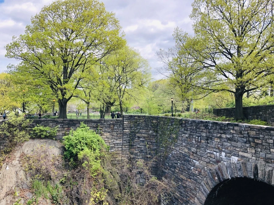 IMG_3781.jpg?type=w966