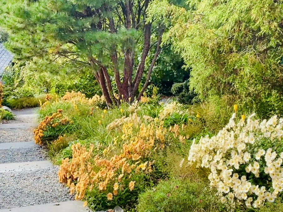 IMG_0375.jpg?type=w966