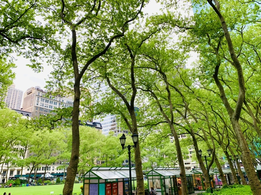 IMG_1707.jpg?type=w966