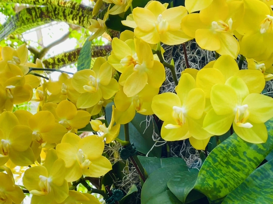 IMG_4443.jpg?type=w966