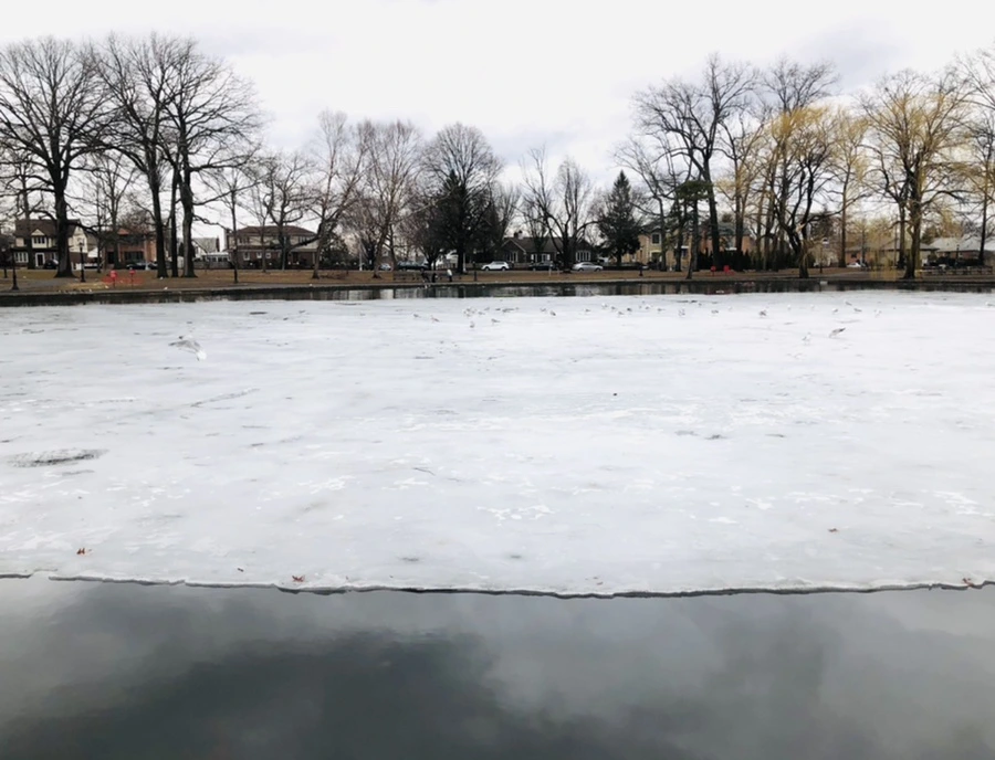 IMG_6504.jpg?type=w966