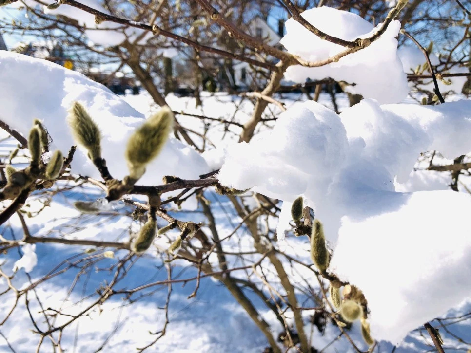 IMG_1357.jpg?type=w966