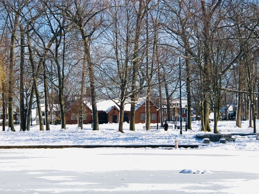 IMG_1343.jpg?type=w966