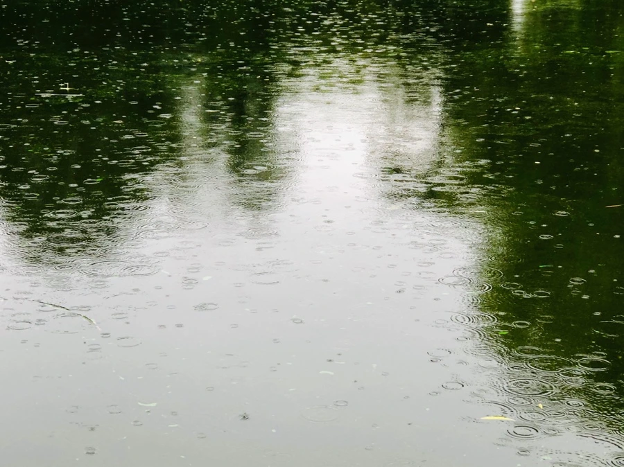 IMG_3245.jpg?type=w966