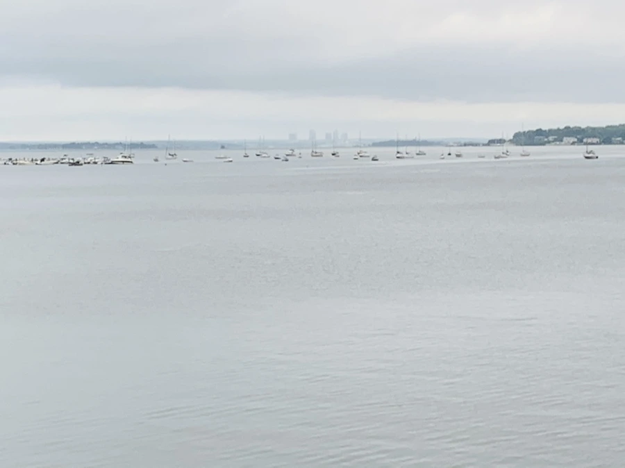 IMG_7142.jpg?type=w966