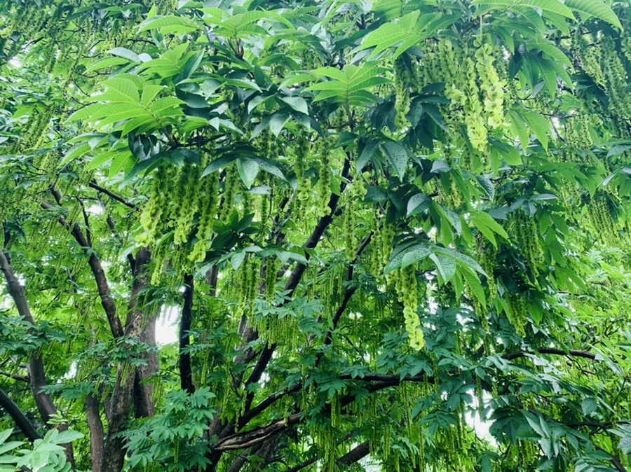 IMG_9560.jpg?type=w966