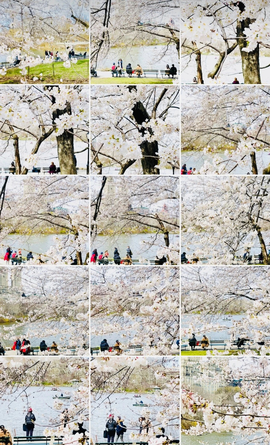 IMG_8987.jpg?type=w966