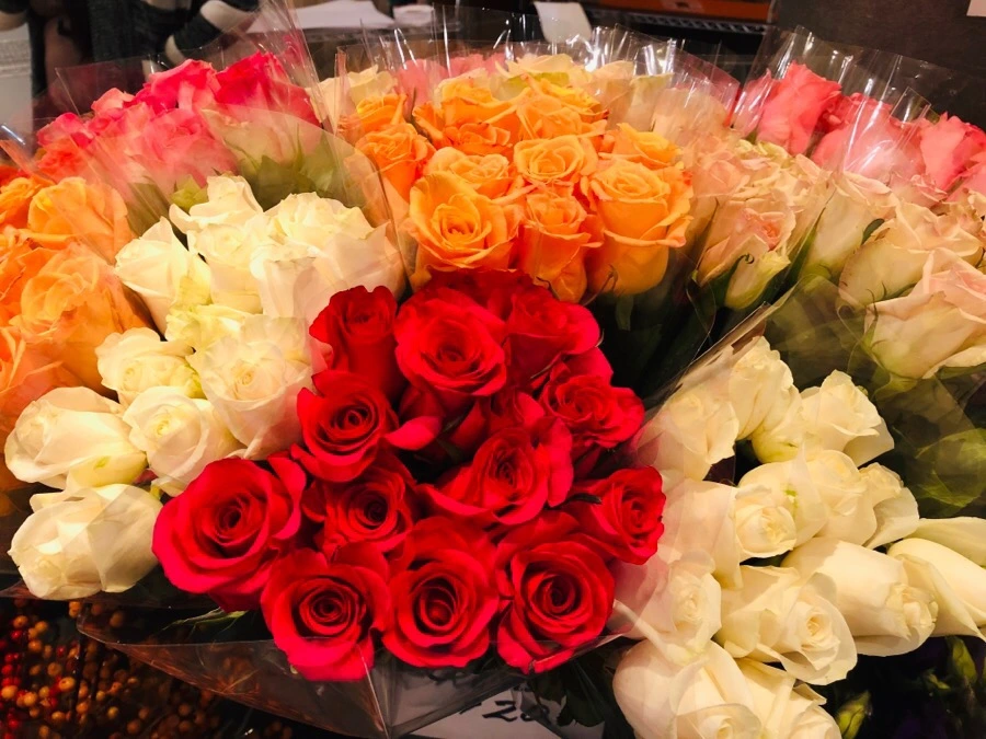 IMG_7760.jpg?type=w966