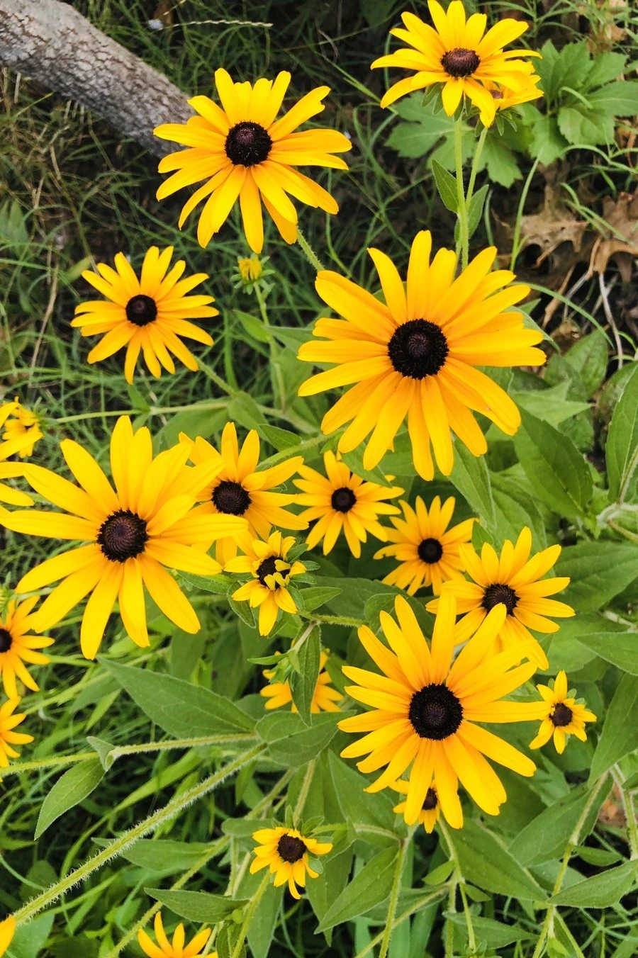 y0ANPPBXjBnqI6JH58-hyBGeXiU