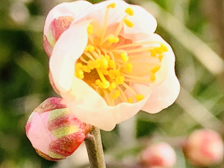 IMG_0263.jpg?type=w966