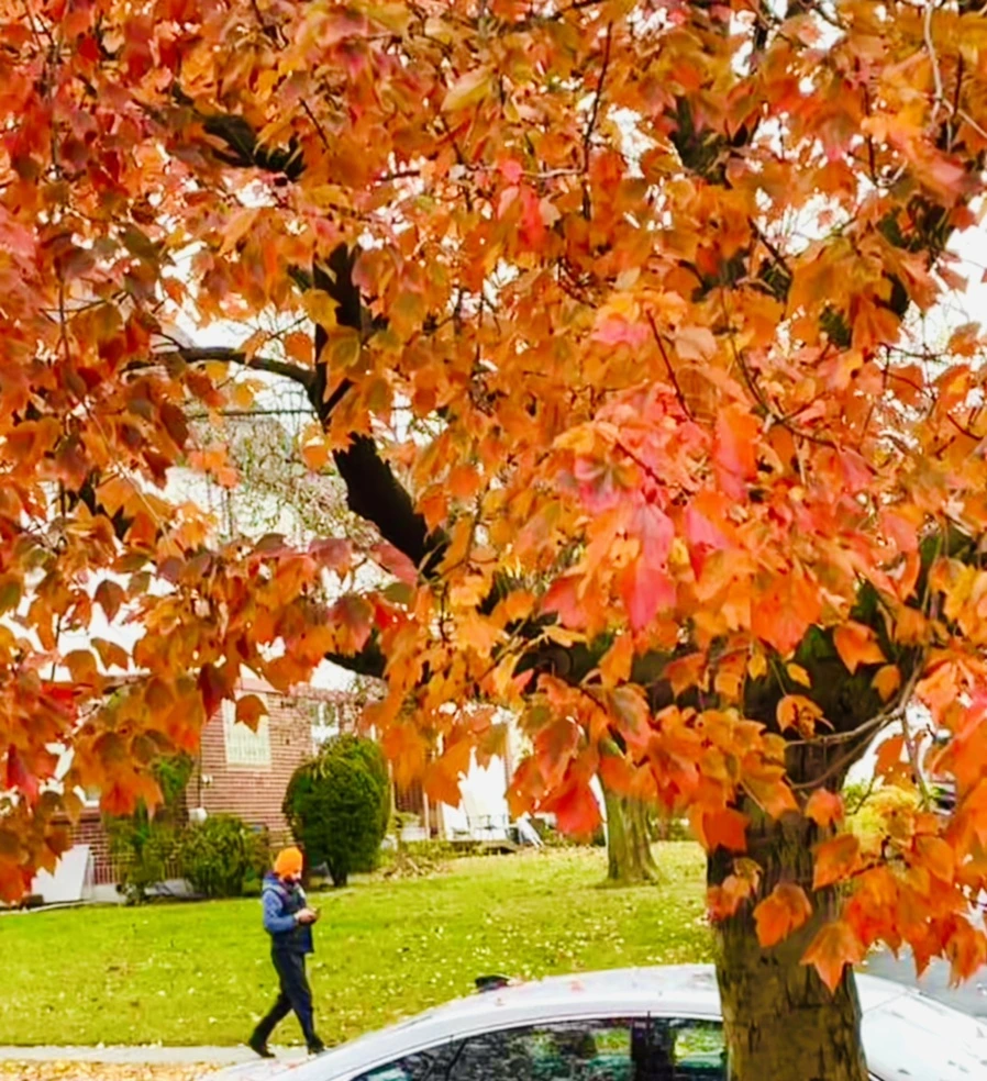 IMG_4436.jpg?type=w966