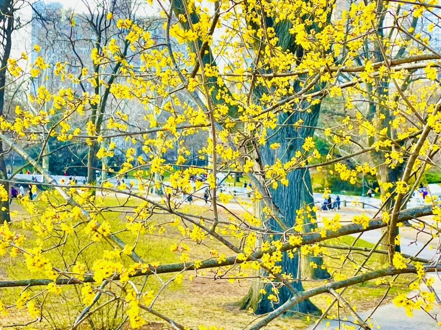 IMG_5932.jpg?type=w966