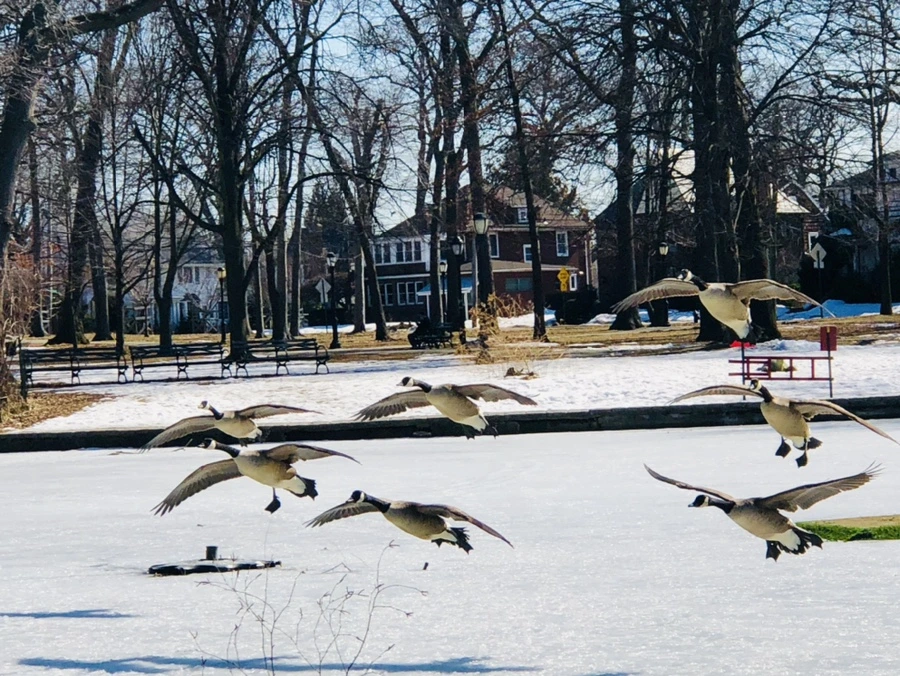 IMG_5177.jpg?type=w966