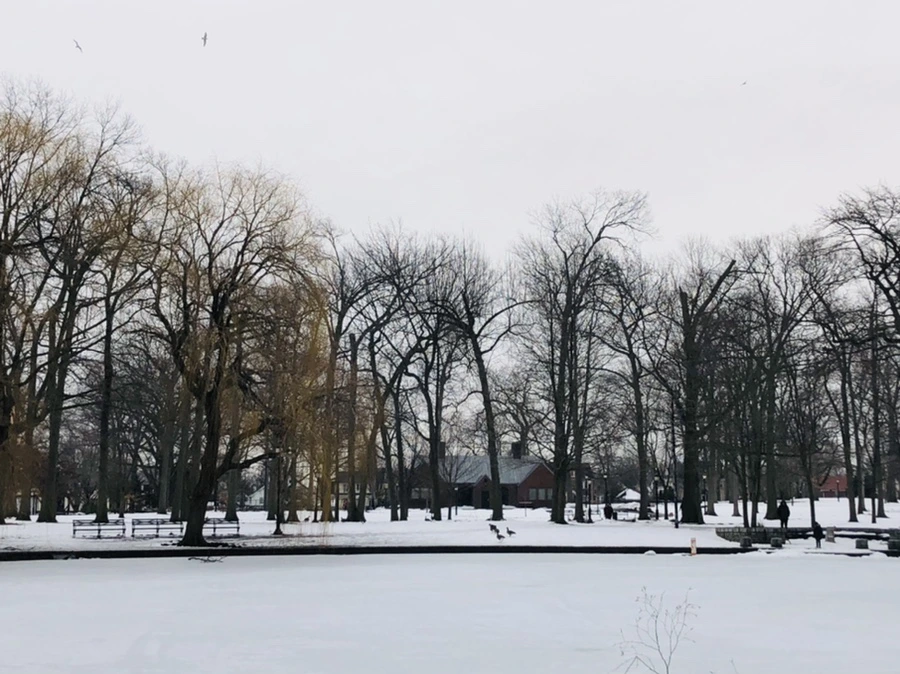 IMG_4439.jpg?type=w966